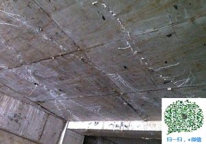 苏尼特右青岛地下室补漏